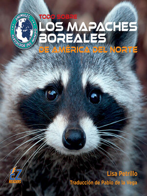 cover image of Todo sobre los mapaches boreales de América del Norte